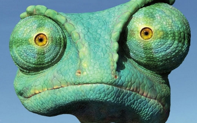 rango-feature rango-feature